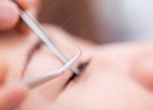 季節のスタイル提案